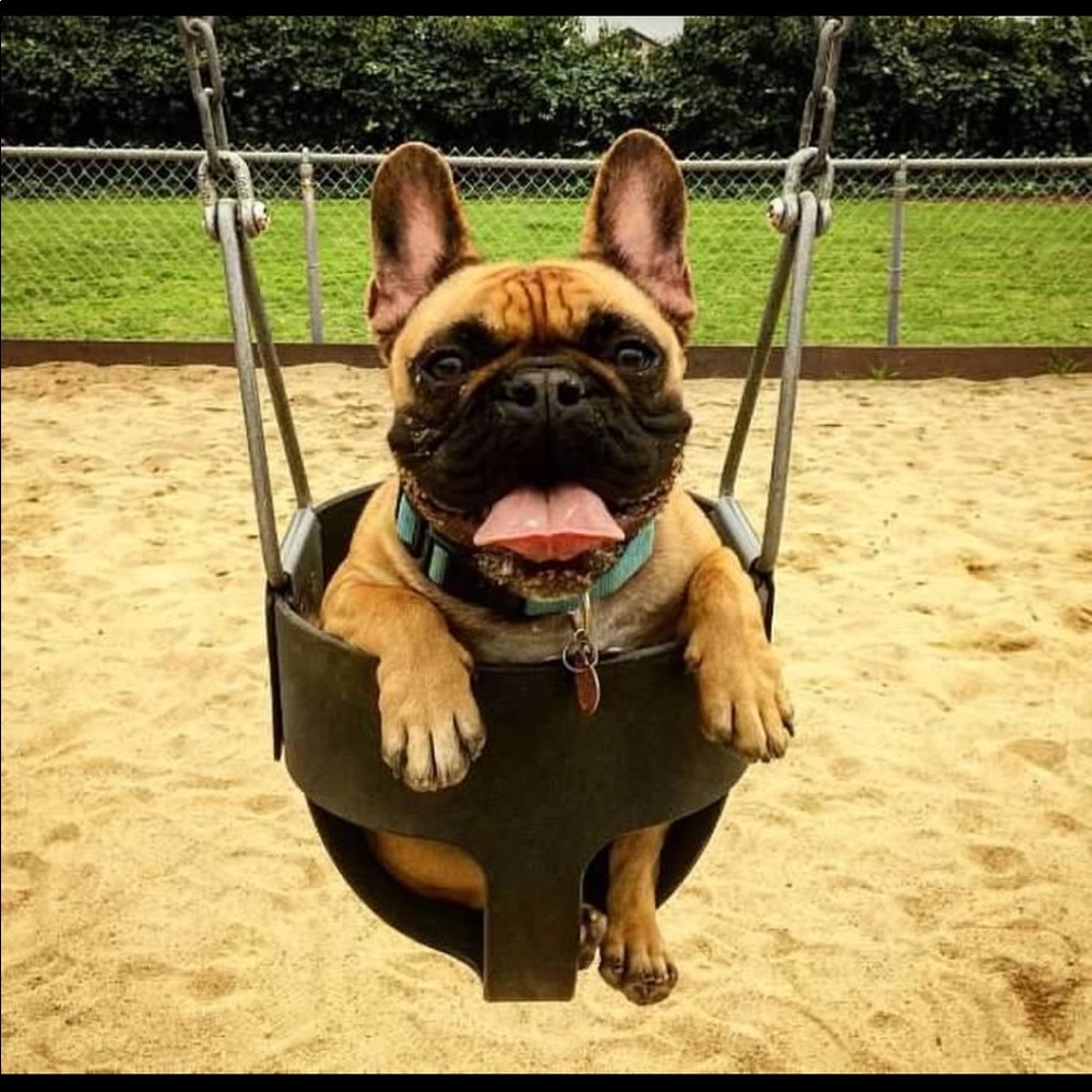 Meet your Posher, Lori